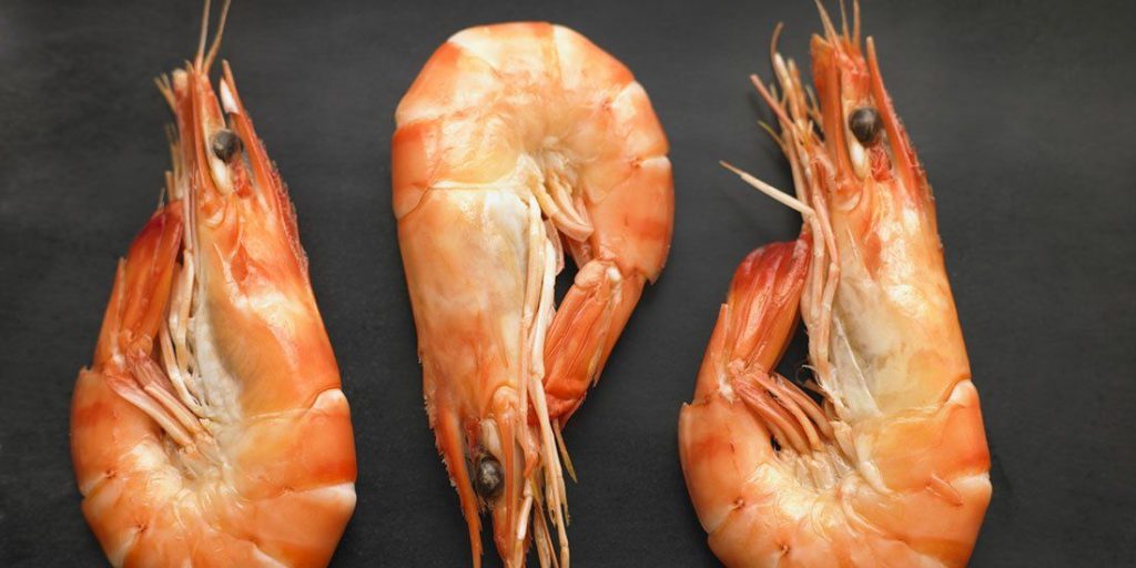 What Do Shrimp Eat